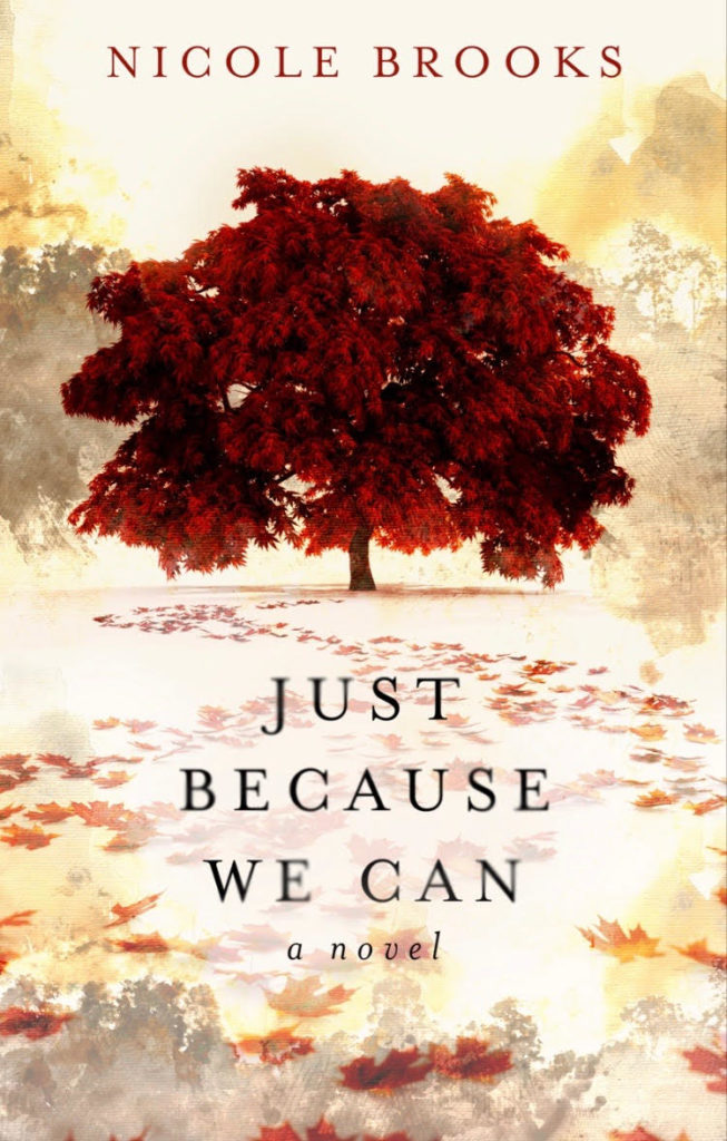 Just because we can book cover